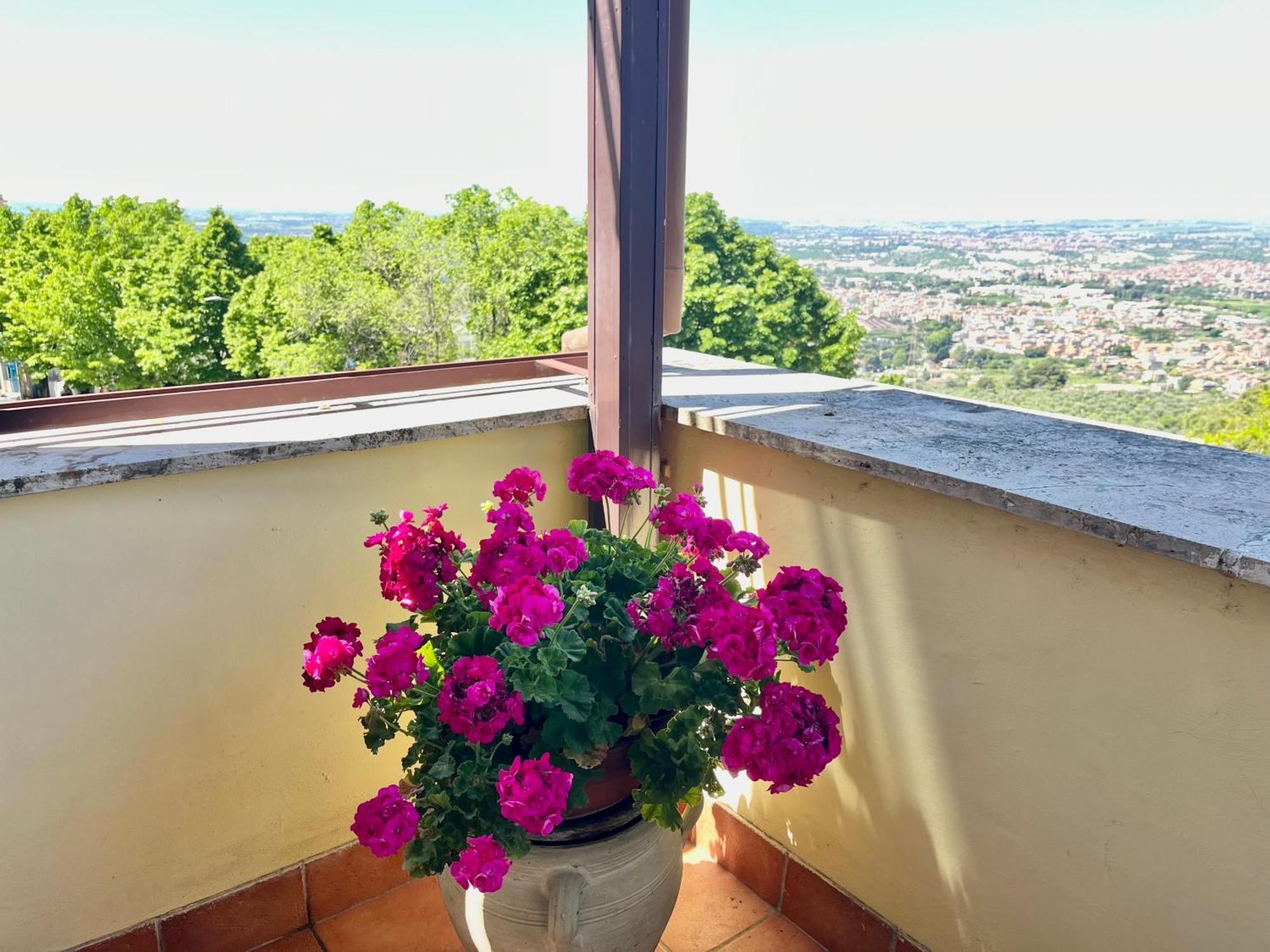 B&B La Panoramica チボリ エクステリア 写真